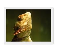 Artery8 Bearded Dragon Reptile Sunbathing A4 Artwork Framed Wall Art Print in White Artery8 White