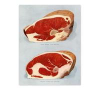 Artery8 Beef Sirloins Illustration Large Wall Art Poster Print 18X24 Inch Artwork By : Vintage Butcher Illustration Ideal For Kitchen Or Restaurant Wall Adding Classic Culinary Flair