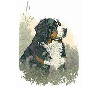 Artery8 Bernese Mountain Dog in Wild Flower Field Watercolour Illustration Large Wall Art Poster Print Thick Paper 18X24 Inch