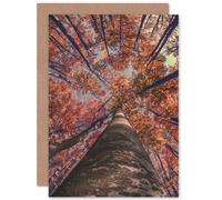 Artery8 Birch Forest In Autumn Greetings Card in Brown Artery8 Brown