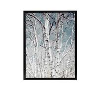 Artery8 Birch tree forest Carol M Highsmith Framed Canvas Wall Art Print | Size: W18" x H24" Artery8 Multicolor W18" x H24"