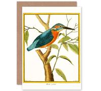 Artery8 Bird Common Kingfisher Martin Pecheur Greetings Card in White Artery8 White
