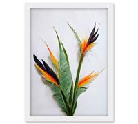Artery8 Bird of Paradise Stem Leaves & Flowers Tropical Plant Botanical Artwork Framed Wall Art Print A4 in White Artery8 White