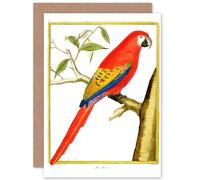 Artery8 Bird Red Parrot Greetings Card Artery8 Red