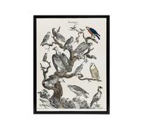 Artery8 Birds Eagle Hawk Owl on Tree Nature Black Framed Canvas Wall Art in White | Size: W24" x H32" Artery8 White W24" x H32"