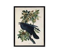 Artery8 Birds of America Raven Audubon Nature Black Framed Canvas Wall Art in White | Size: W12" x H16" Artery8 White W12" x H16"