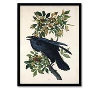 Artery8 Birds of America Raven Framed Wall Art Print A4 Artwork By Audubon : Raven Artwork Perfect For Office Or Hallway Reflecting Mystery Intelligence And Gothic Nature Style