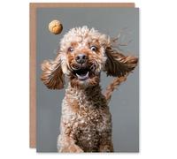 Artery8 Birthday Card Dog Treat Cockapoo Funny Photo Animal Lover Blank Arty Art All Occasion Greeting Card
