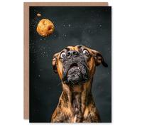Artery8 Birthday Card Dog Treat Funny Photo Animal Lover Blank Arty Art All Occasion Greeting Card