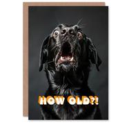 Artery8 Birthday Card Shocked Black Labrador Dog Photo How Old Funny Joke For Him Her Man Woman Girl Boy Wife Husband Greeting Card
