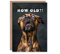 Artery8 Birthday Card Shocked Boxer Dog Photo How Old Funny Joke Cheeky in Dark Grey Artery8 Dark Grey