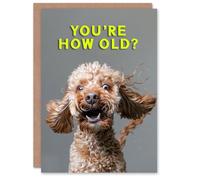 Artery8 Birthday Card Shocked Cockapoo How Old Joke Cockapoo For Him Man Male Dad Brother Son Papa Grandad Greeting Card