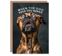 Artery8 Birthday Card Shocked Dog Photo Funny Joke Animal Arty Art All Occasion Greeting Card in Dark Grey Artery8 Dark Grey