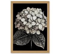 Artery8 Black and White Artistic Hydrangea Flower Plant Artwork Framed A3 Wall Art Print