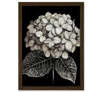 Artery8 Black and White Artistic Hydrangea Flower Plant Artwork Framed A3 Wall Art Print