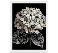 Artery8 Black and White Artistic Hydrangea Flower Plant Artwork Framed A3 Wall Art Print