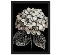 Artery8 Black and White Artistic Hydrangea Flower Plant Artwork Framed Wall Art Print A4