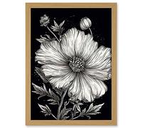 Artery8 Black and White Cosmos Flower and Starry Night Sky Artwork Framed A3 Wall Art Print