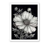 Artery8 Black and White Cosmos Flower and Starry Night Sky Artwork Framed Wall Art Print 18X24 Inch