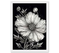 Artery8 Black and White Cosmos Flower and Starry Night Sky Artwork Framed Wall Art Print A4
