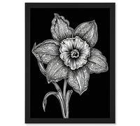 Artery8 Black and White Daffodil with Batik Style Petals Artwork Framed A3 Wall Art Print