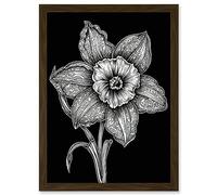 Artery8 Black and White Daffodil with Batik Style Petals Artwork Framed A3 Wall Art Print