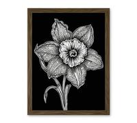 Artery8 Black and White Daffodil with Batik Style Petals Artwork Framed Wall Art Print 18X24 Inch