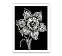 Artery8 Black and White Daffodil with Batik Style Petals Artwork Framed Wall Art Print 18X24 Inch