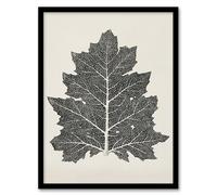 Artery8 Black and White Leaf Drawing Framed Wall Art Print A4 Artwork By Owen Jones : Minimalist Botanical Art Adding Sophistication Form And Elegance To Serene Interior