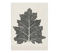 Artery8 Black and White Leaf Drawing Unframed Wall Art Print Poster 12X16 Artwork By Owen Jones : Minimalist Botanical Art Adding Sophistication Form And Elegance To Serene Interior