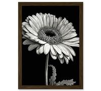 Artery8 Black and White Pencil Drawing of a Gerbera Flower Artwork Framed A3 Wall Art Print