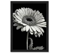 Artery8 Black and White Pencil Drawing of a Gerbera Flower Artwork Framed A3 Wall Art Print