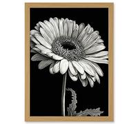 Artery8 Black and White Pencil Drawing of a Gerbera Flower Artwork Framed A3 Wall Art Print