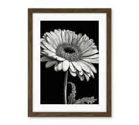 Artery8 Black and White Pencil Drawing of a Gerbera Flower Artwork Framed Wall Art Print 18X24 Inch