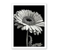 Artery8 Black and White Pencil Drawing of a Gerbera Flower Artwork Framed Wall Art Print 18X24 Inch