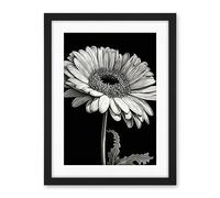 Artery8 Black and White Pencil Drawing of a Gerbera Flower Artwork Framed Wall Art Print 18X24 Inch