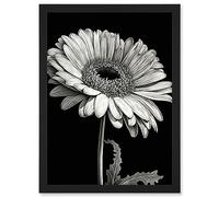 Artery8 Black and White Pencil Drawing of a Gerbera Flower Artwork Framed Wall Art Print A4