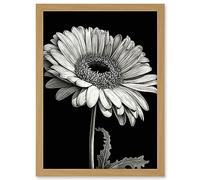 Artery8 Black and White Pencil Drawing of a Gerbera Flower Artwork Framed Wall Art Print A4