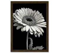 Artery8 Black and White Pencil Drawing of a Gerbera Flower Artwork Framed Wall Art Print A4