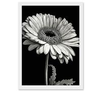 Artery8 Black and White Pencil Drawing of a Gerbera Flower Artwork Framed Wall Art Print A4