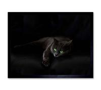 Artery8 Black Cat Yellow Eyes Lazy Sleepy Home Decor 12x16" Framed Art Print | Size: W12" x H16" Artery8 Black W12" x H16"