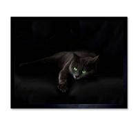 Artery8 Black Cat Yellow Eyes Lazy Sleepy Home Decor 12X16" Framed Wall Art Print