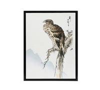 Artery8 Black Eared Kite Bird Japanese Framed Canvas Wall Art Print Kashu | Size: W12" x H16" Artery8 Multicolor W12" x H16"