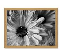 Artery8 Black White Daisy Flower Petals A4 Artwork Framed Wall Art Print