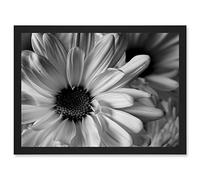 Artery8 Black White Daisy Flower Petals Artwork Framed A3 Wall Art Print