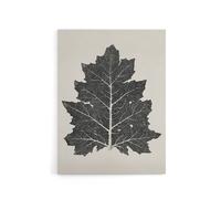 Artery8 Black & White Leaf Drawing Owen Jones Vintage Canvas Wall Art in Beige | Size: W24" x H32" Artery8 Beige W24" x H32"