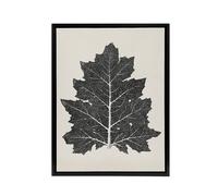 Artery8 Black & White Leaf Drawing Owen Jones Vintage Framed Canvas Wall Art in Beige | Size: W18" x H24" Artery8 Beige W18" x H24"