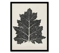 Artery8 Black & White Leaf Drawing Owen Jones Vintage Framed Wall Art Print in Beige | Size: A4 Artery8 Beige A4