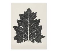 Artery8 Black & White Leaf Drawing Owen Jones Vintage Wall Art Print Poster in Beige | Size: W12" x H16" Artery8 Beige W12" x H16"
