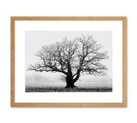 Artery8 Black & White Nature Photograph of an Old Branchy Tree in a Misty Morning Landscape Framed Wall Art Print Picture 12X16 inch in Light Oak Artery8 Light Oak